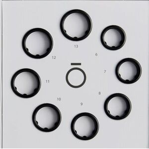 Oura Ring sizing kit